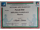 sito web
