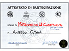 sito web