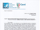 sito web