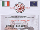 sito web