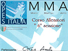 sito web