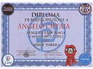 sito web