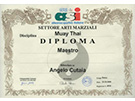 sito web