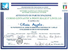 sito web