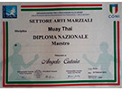 sito web