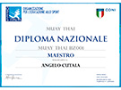 sito web