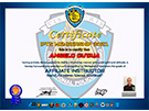 sito web